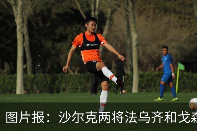 图片报：沙尔克两将法乌齐&戈森斯严重撞伤，将缺席杯赛